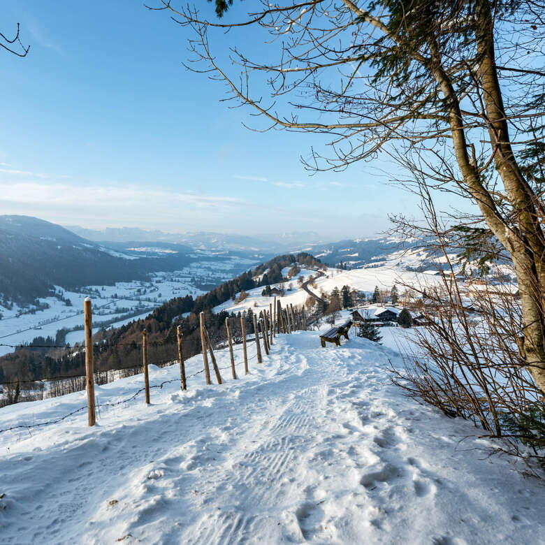 Verschneiter Wanderweg bei Oberstaufen bietet Sicht auf das Säntis-Massiv.