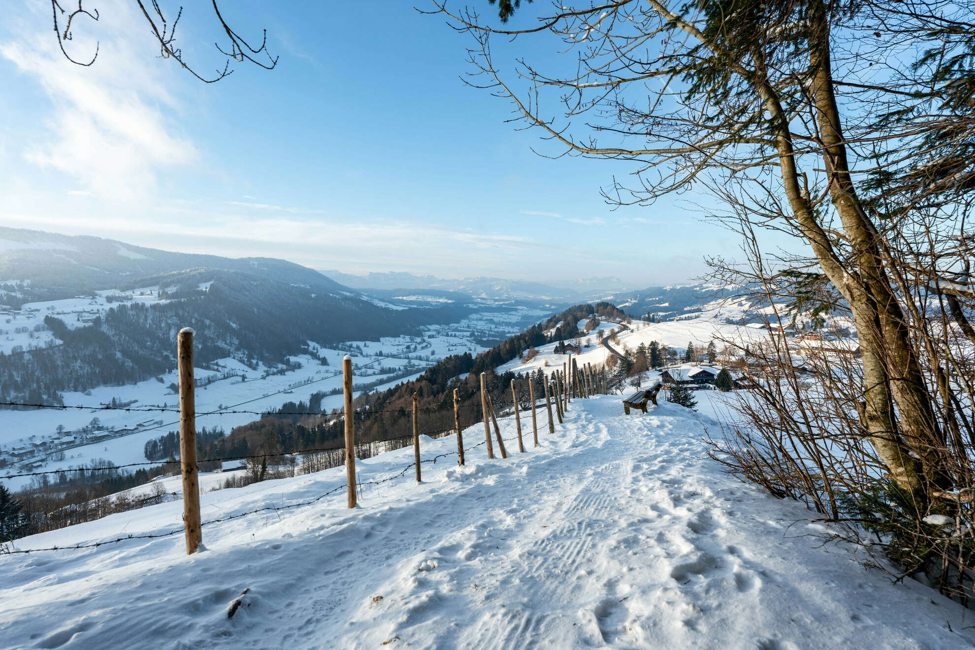 Winterliche Natur mit Weitblick auf den Säntis.