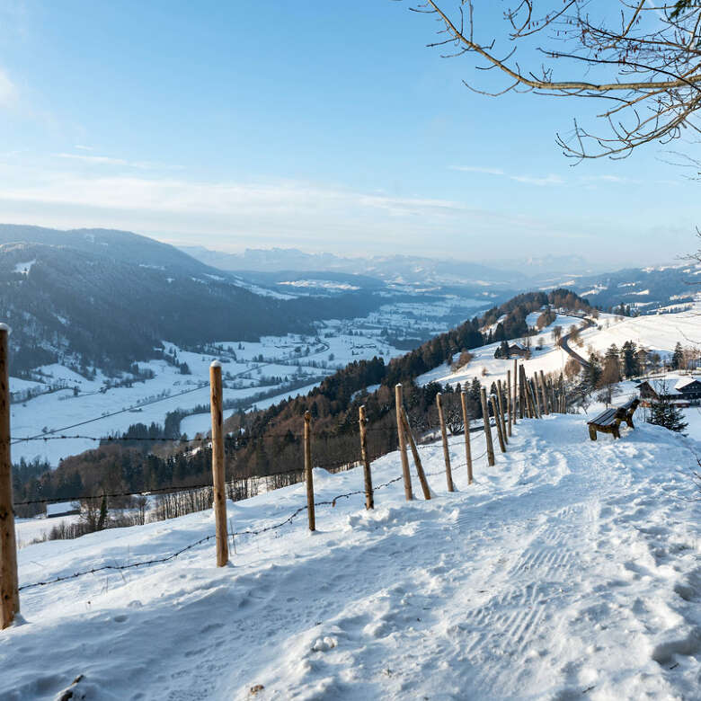 Der Ausblick vom Kapf Richtung Schweizer Alpen ist auch im Winter ein Lieblingsplatz in Oberstaufen.