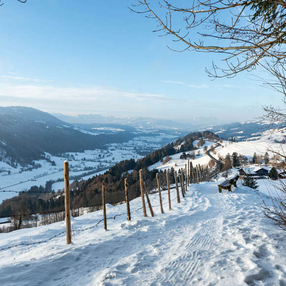 Der Ausblick vom Kapf in Oberstaufen über das Weißachtal und die Schweizer Alpen ist auch im Winter ein Lieblingsplatz.