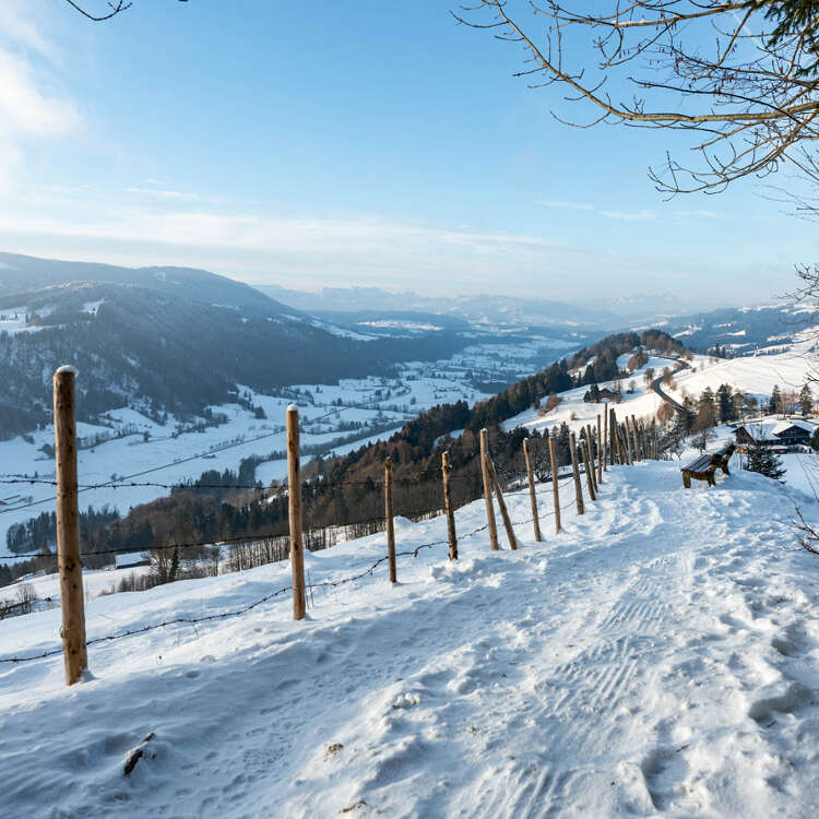 Ausblick vom Kapf im Winter beim Wandern in Oberstaufen