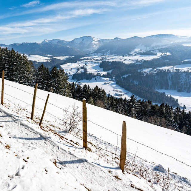 Allgäuer Berge verschneit im Winter