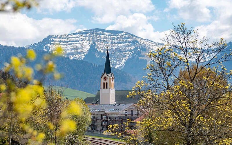 Blühende Bäume im Ortskern mit Blick auf die Kirche und den Hochgrat in Oberstaufen