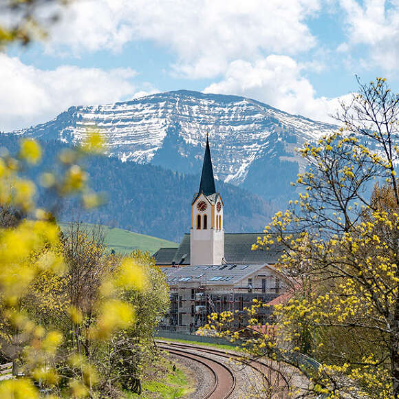 Blühende Bäume im Ortskern mit Blick auf die Kirche und den Hochgrat in Oberstaufen
