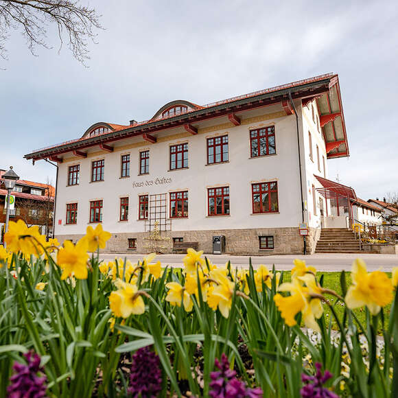 Blühende Blumenbeete im Ort vor dem Haus des Gastes Oberstaufen