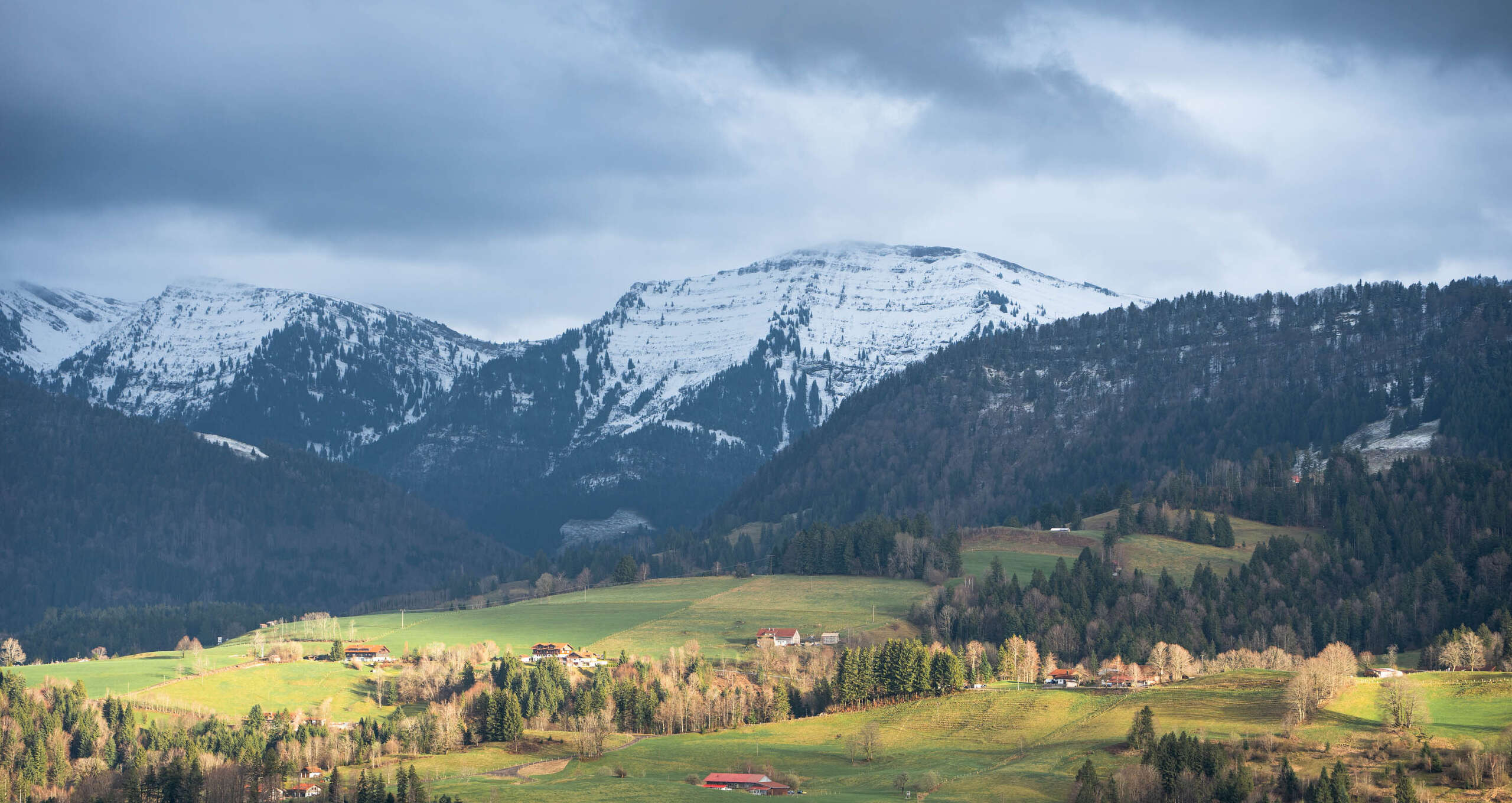 Grüne Wiesen um Steibis mit dem verschneiten Bergpanorama der Nagelfluhkette im Frühling
