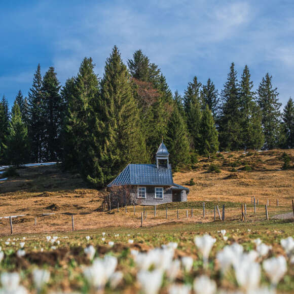 Frühling Kapellenweg 6 in Oberstaufen Allgäu Kapelle auf der Tour Kapellenweg 6 in Oberstaufen Allgäu
