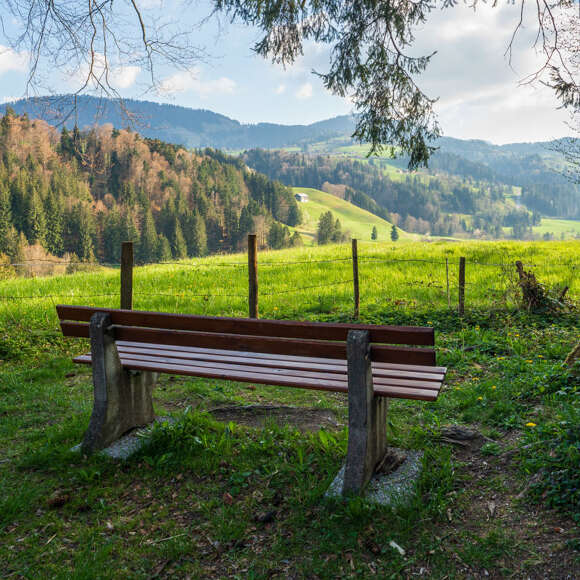 Eine Rastbank am Rand des ortsnahen Rainwalds bei Oberstaufen.