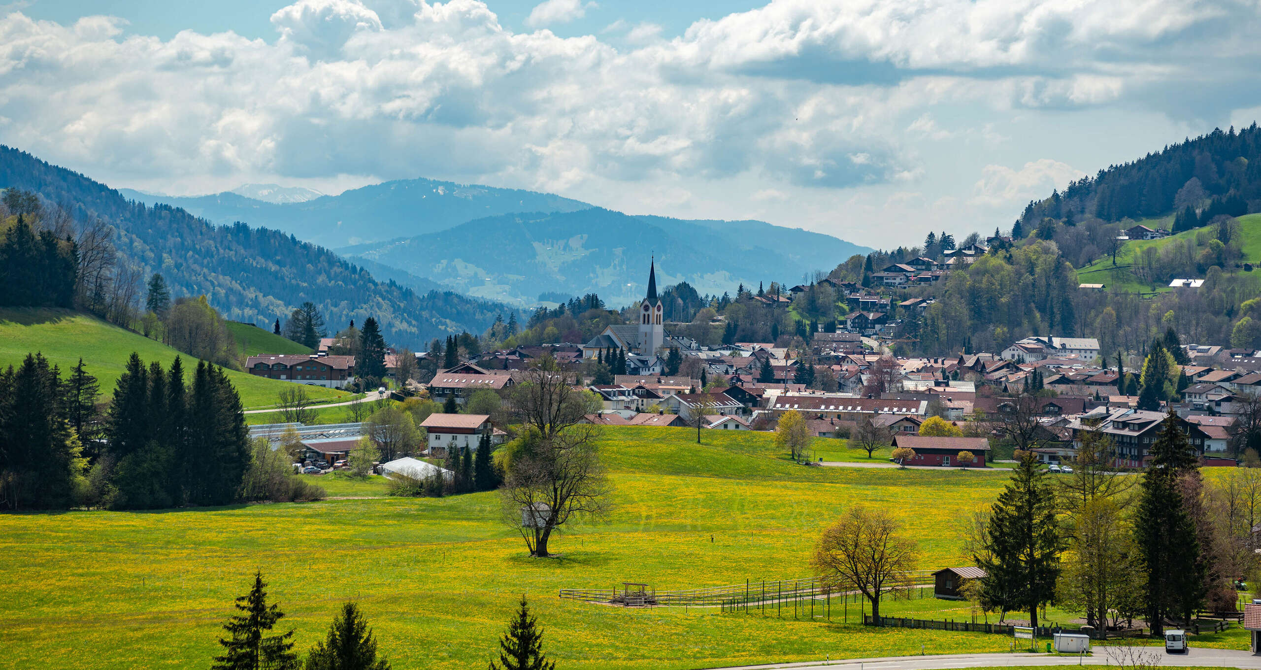 Blick auf Oberstaufen und die blühenden Löwenzahnwiesen im Frühling