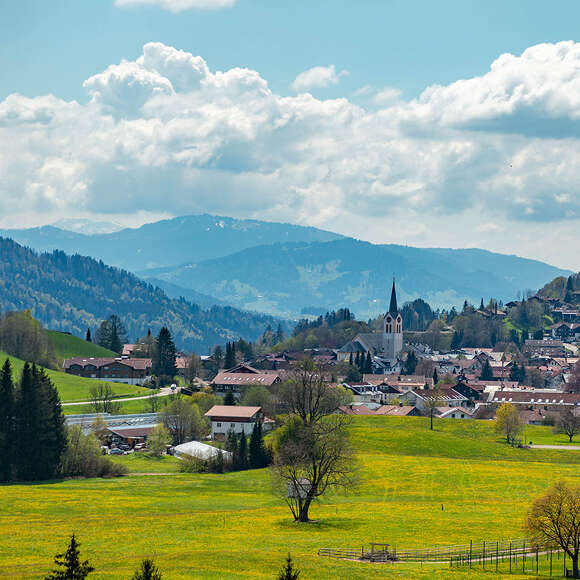 Blick auf Oberstaufen und die blühenden Löwenzahnwiesen im Frühling