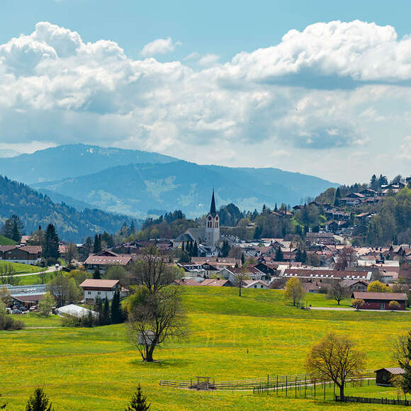 Blick auf Oberstaufen und die blühenden Löwenzahnwiesen im Frühling