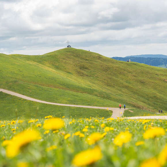 Wandergebiet rund um den Hündle-Gipfel bei Oberstaufen im Frühling