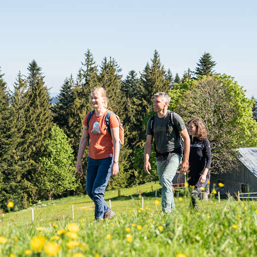 Frühlingswandern in Oberstaufen