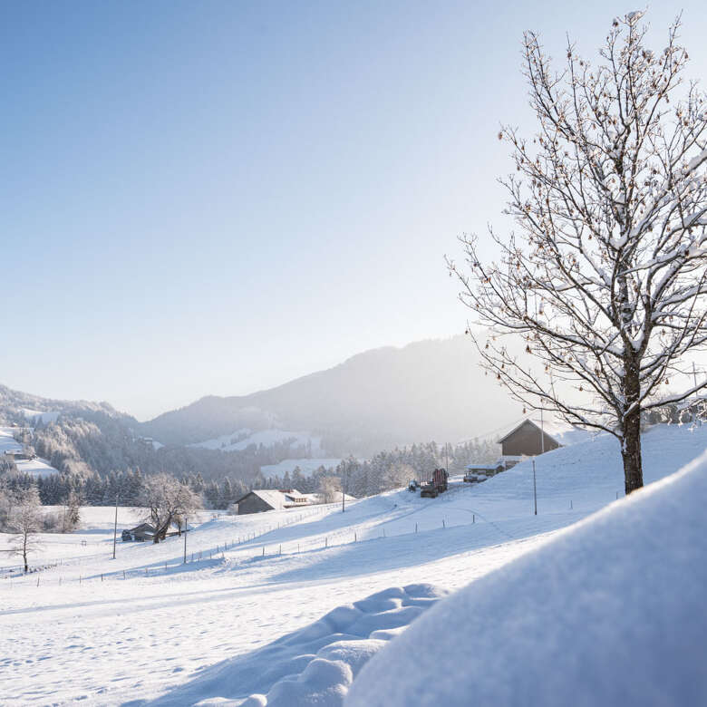 Winter in Steibis Winterlicher Blick bei Steibis