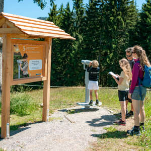 Wandern mit Kindern beim Urlaub in Oberstaufen.