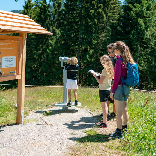 In Oberstaufen wird das Allgäu zum Erlebnis für die ganze Familie