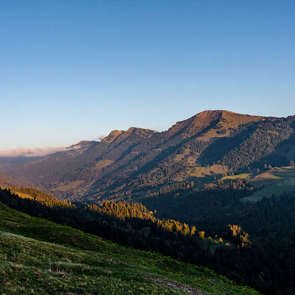 Wandern im Herbst in Oberstaufen im Allgäu.