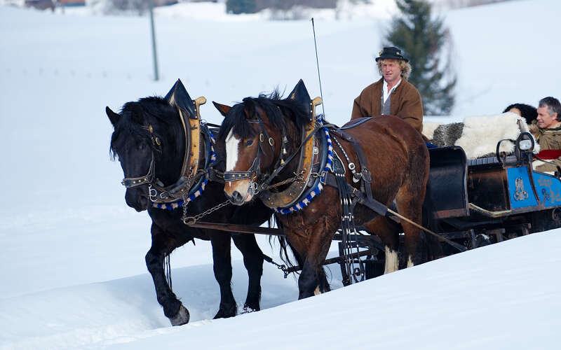 Pferdeschlittenfahren im Winterurlaub im Allgäu.