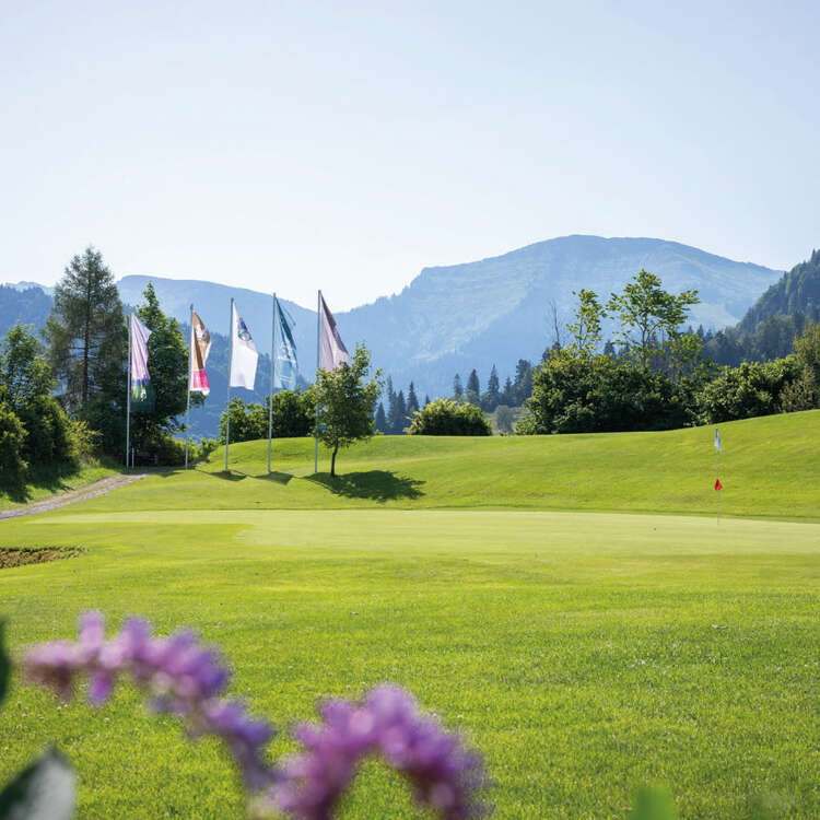 Golfplatz Steibis mit dem Hochgrat im Hintergrund