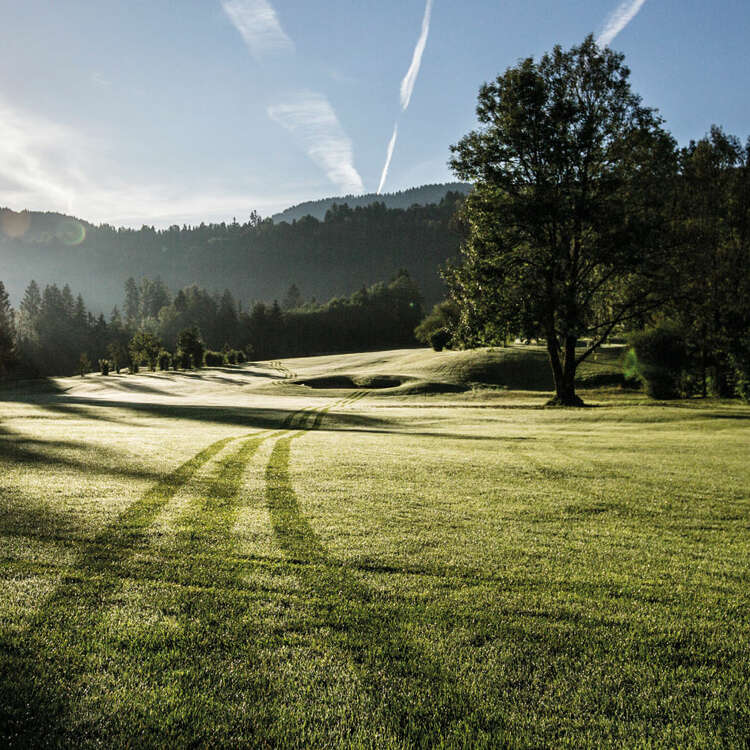 Golfplatz im Bregenzerwald im Morgenlicht