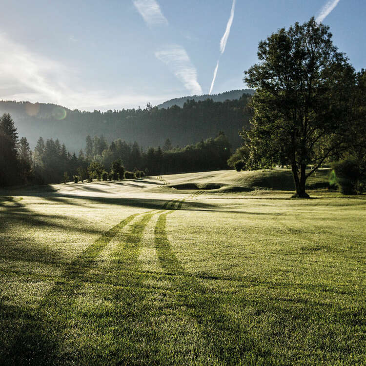 Morgenstimmung am Golfplatz im Bregenzerwald