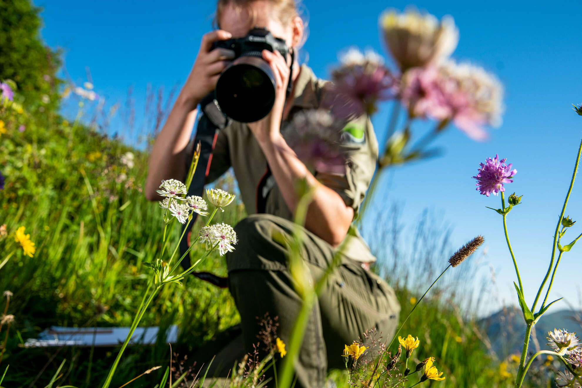 Große Vielfalt an Pflanzen und Tieren Große Vielfalt an Pflanzen und Tieren