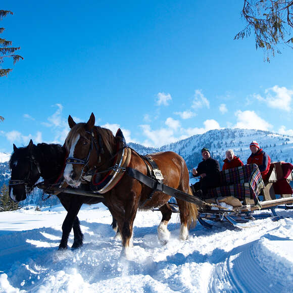 Zwei Pferde ziehen einen Schlitten mit drei Insassen durch den Schnee bei Bergpanorama.
