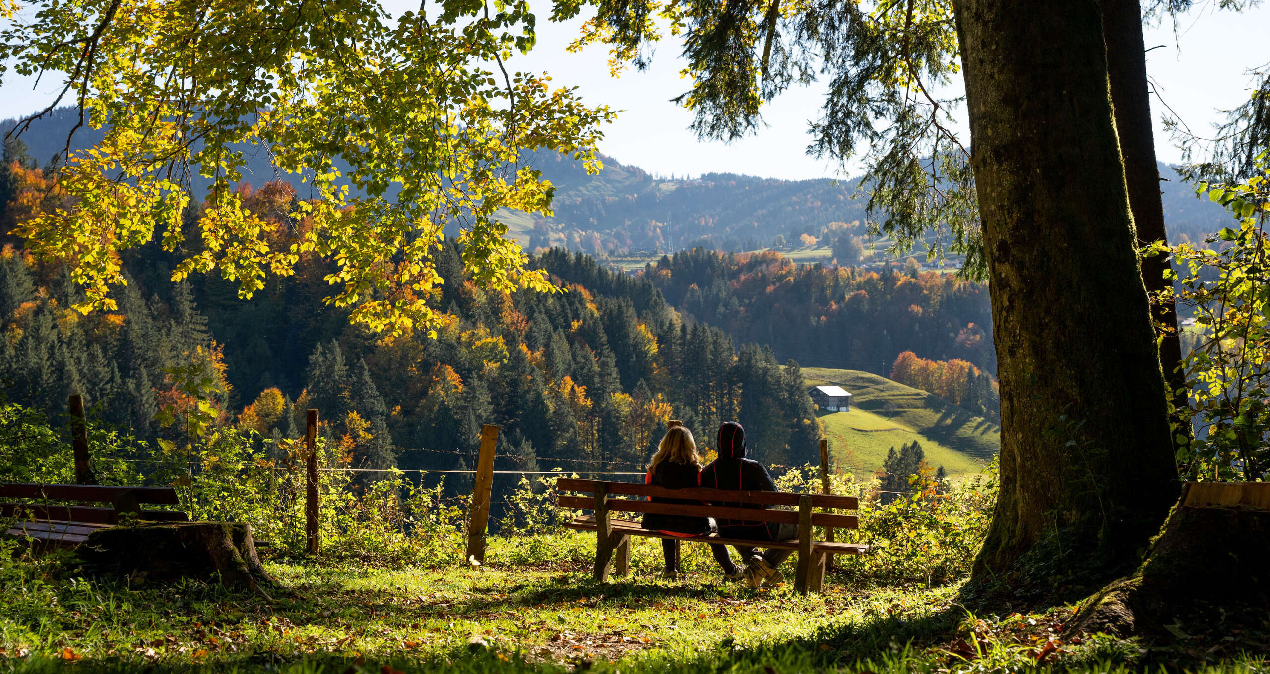 Herbstwald bei Oberstaufen Herbstwald bei Oberstaufen