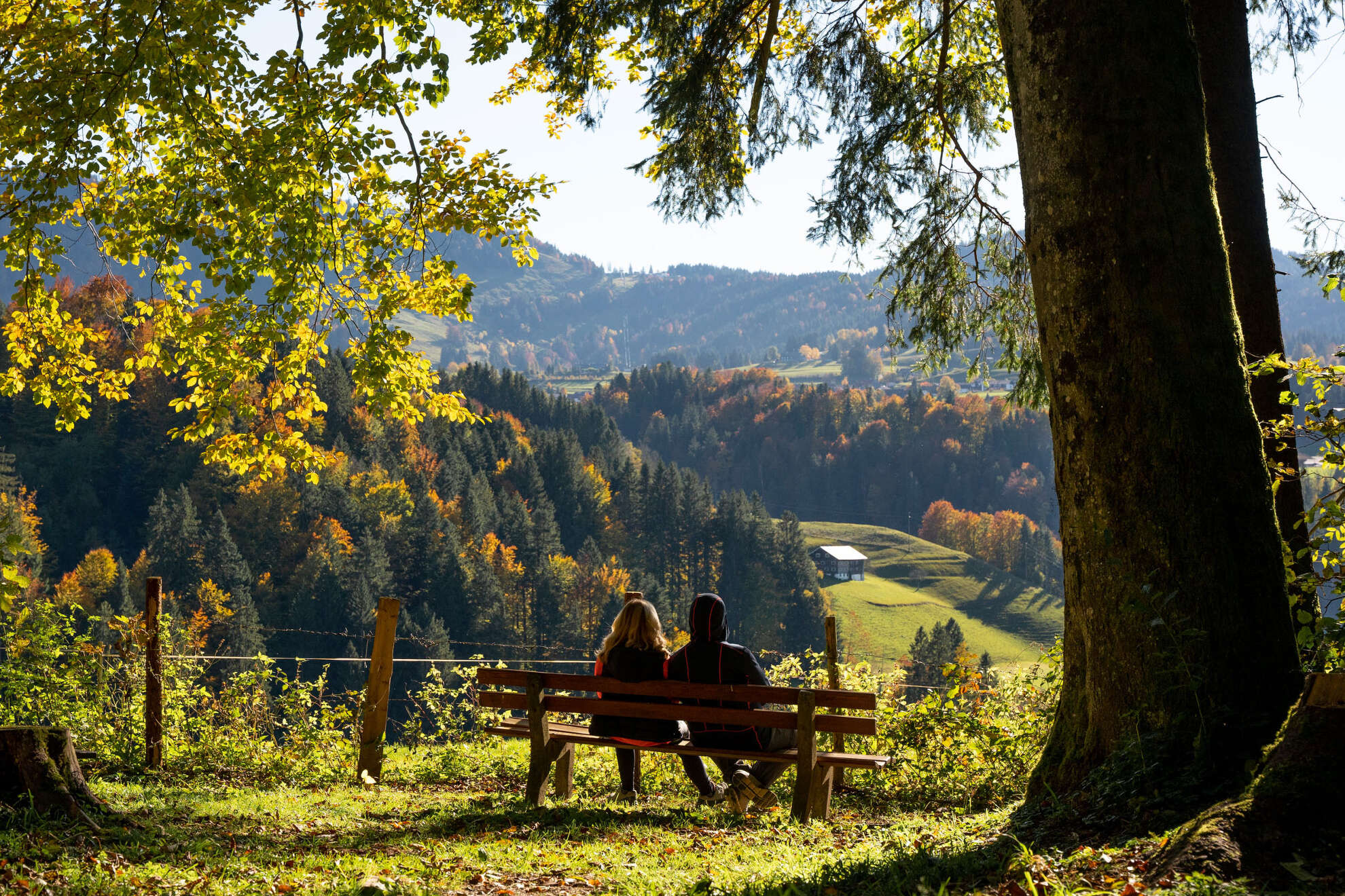 Herbstwald bei Oberstaufen Herbstwald bei Oberstaufen