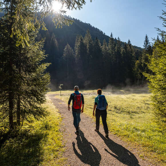 Zwei Menschen wandern durch die herbstliche Natur.