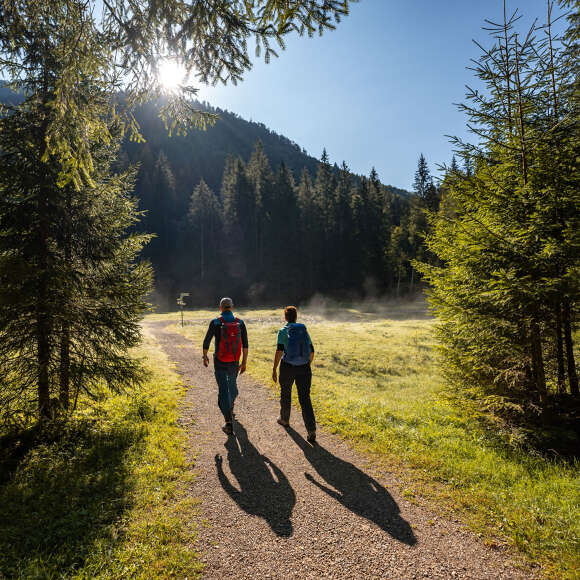 Zwei Menschen wandern durch die herbstliche Natur.