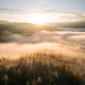 Herbst in Oberstaufen Nebelschwaden ziehen durch den Allgäuer Bergwald.