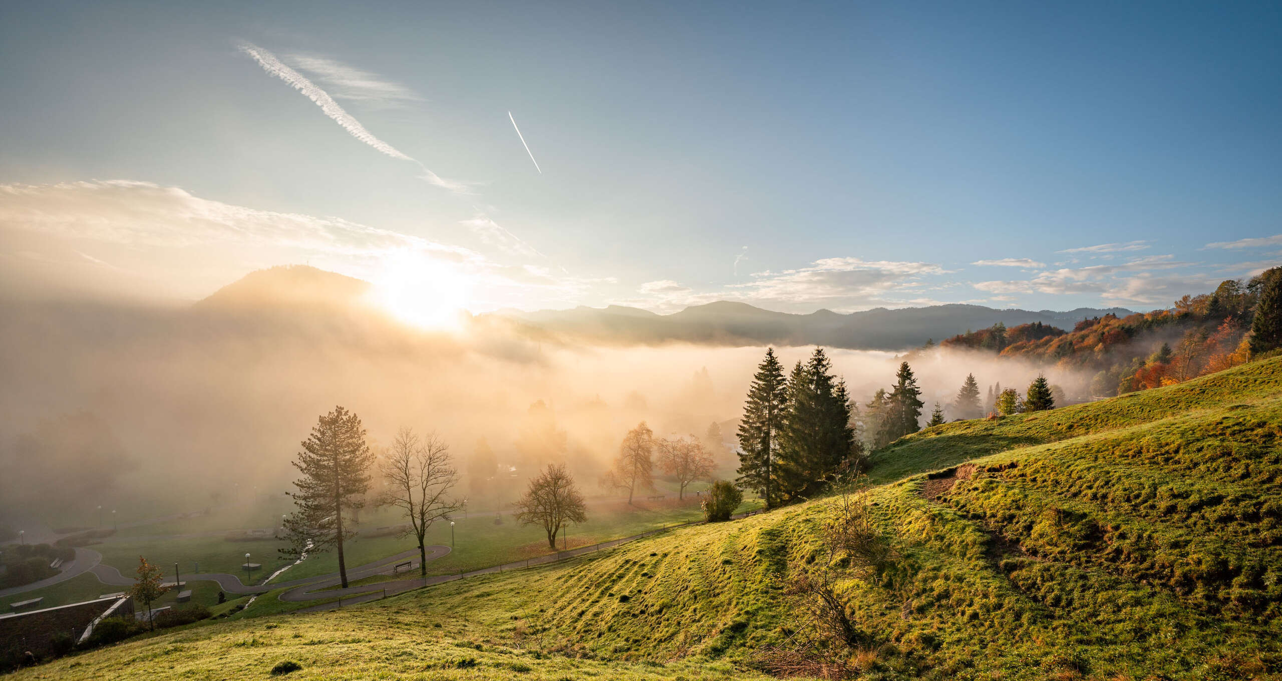Nebelschwaden ziehen durch den ortsnahen Oberstaufen PARK.
