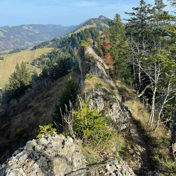 Naturpark Nagefluhkette und das besondere Gestein Nagelfluh