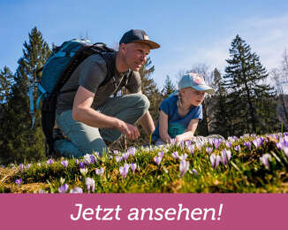 Erlebnisse für die ganze Familie