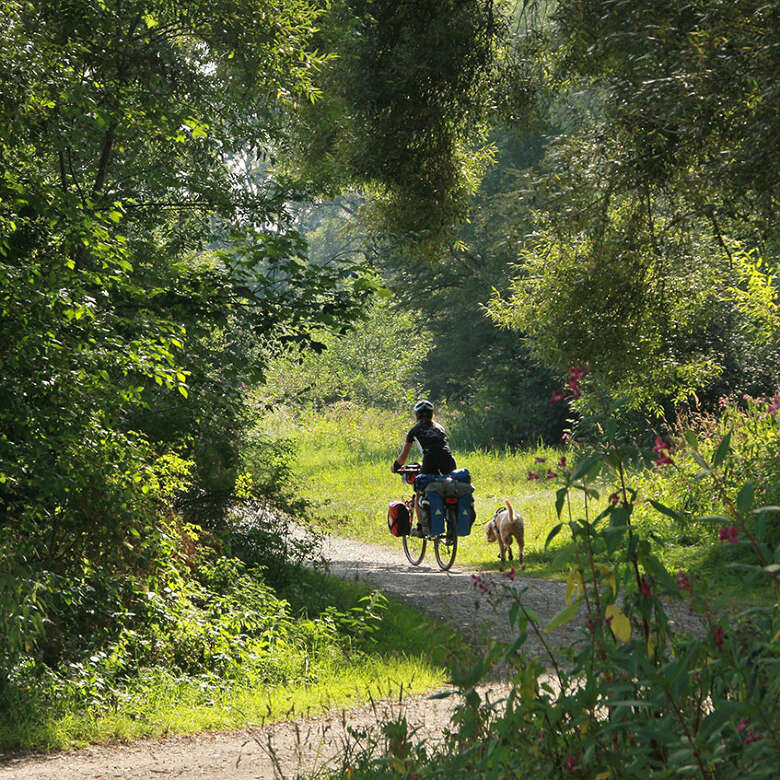 Fahrradfahrerin mit ihrem Hund auf dem Iller-Radweg durch das Allgäu