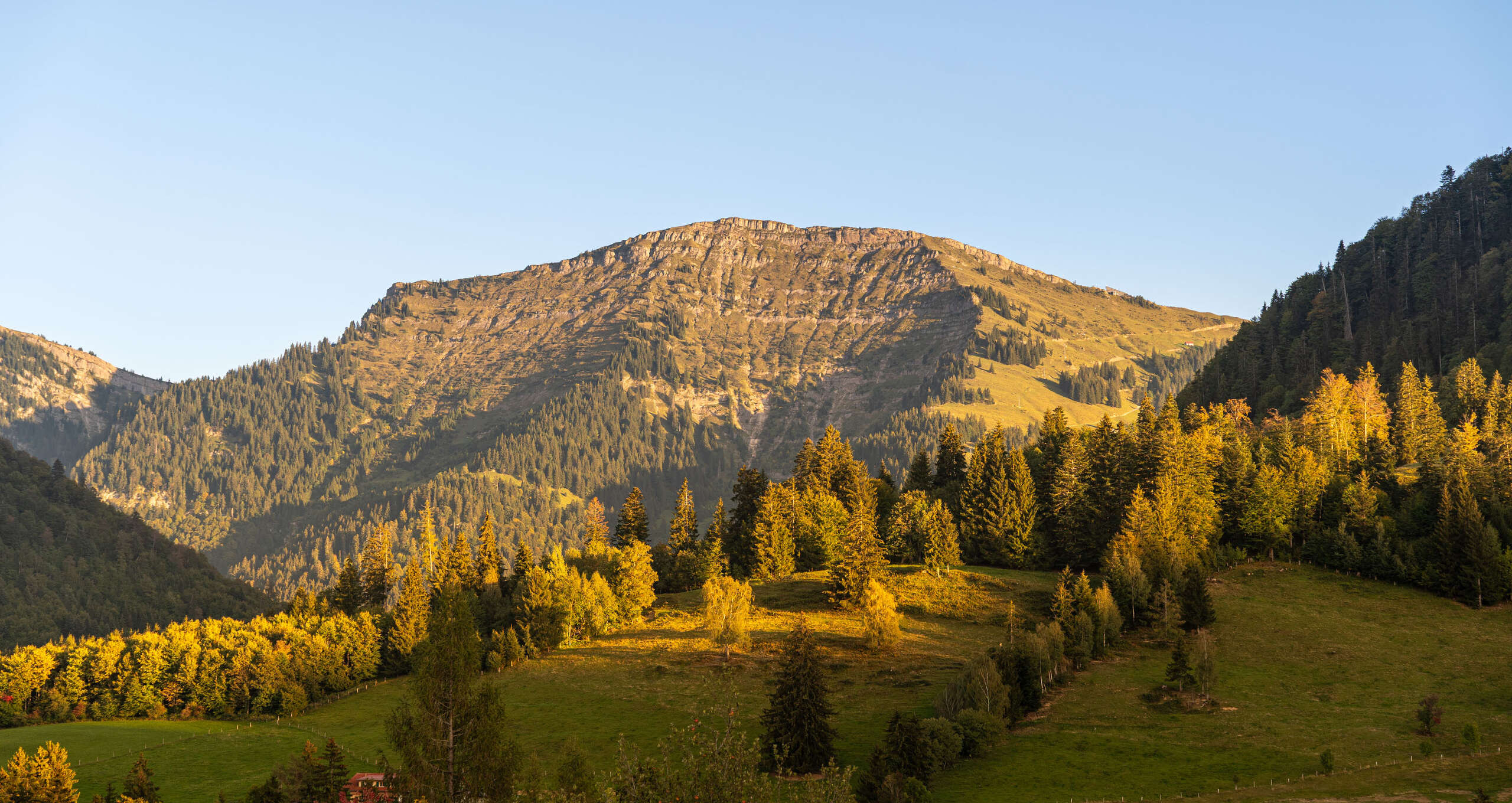 Der Hochgrat in der Nagelfluhkette im warmen Herbstlicht, davor Almwiesen und herbstlich gefärbte Bäume bei Oberstaufen