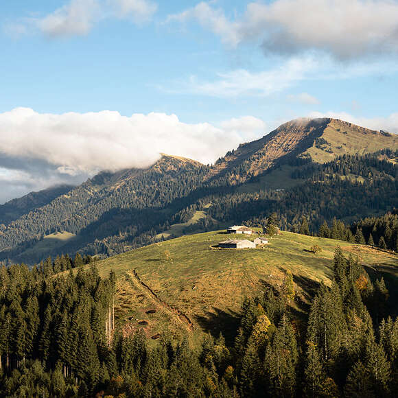 Blick auf das Berggebiet Hochgrat und die Nagelfluhkette im Sommer