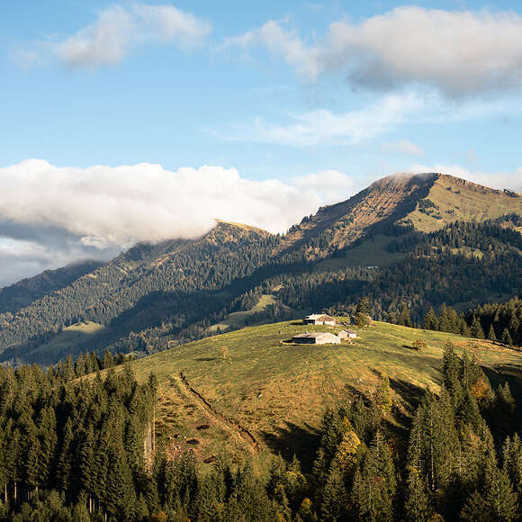Blick auf das Berggebiet Hochgrat und die Nagelfluhkette im Sommer