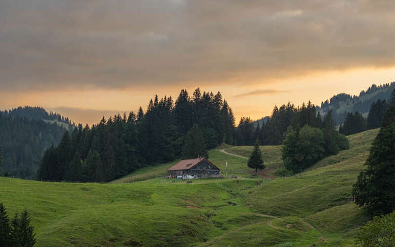 Im Wandergebiet von Oberstaufen mit Blick zur Alpe Neugreuth