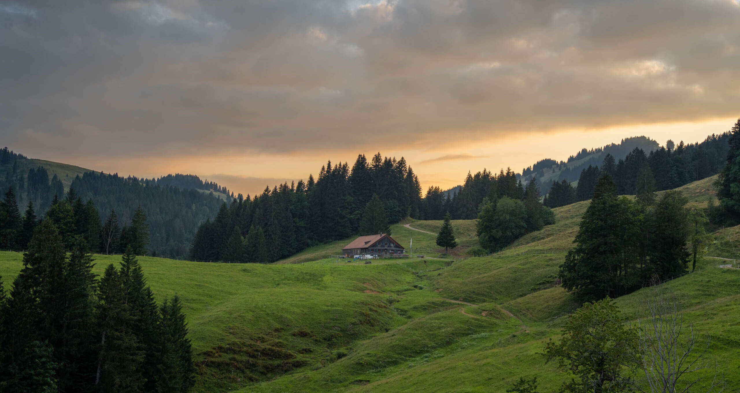 Im Wandergebiet von Oberstaufen mit Blick zur Alpe Neugreuth