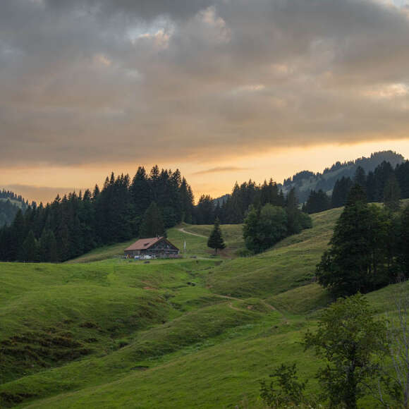 Im Wandergebiet von Oberstaufen mit Blick zur Alpe Neugreuth