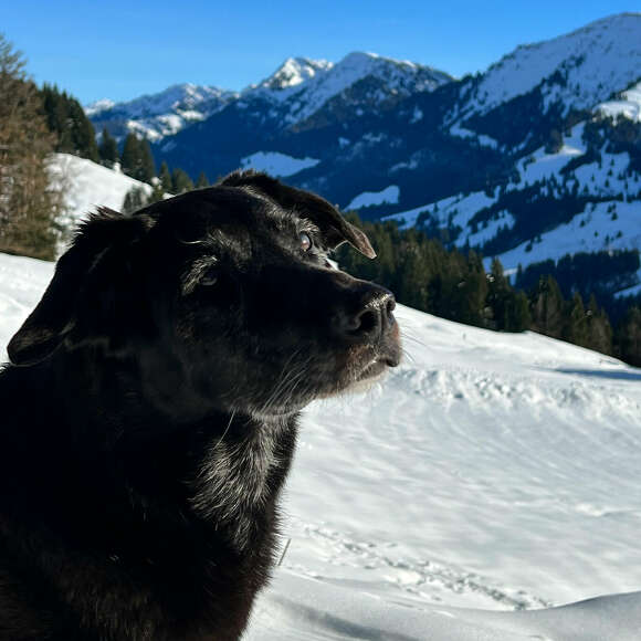 Tourentipps zum Wandern durch den Schnee im Allgäu mit Hund