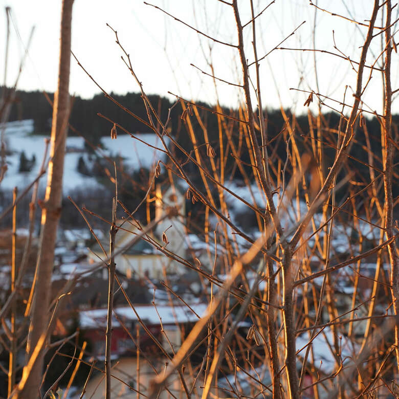 Die ersten Sonnenstrahlen des Tages lassen Oberstaufen im Allgäu in goldenem Licht leuchten.