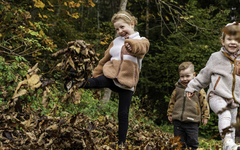 Kinderspaß in der Natur Kinder spielen mit Herbstlaub im Oberstaufen PARK