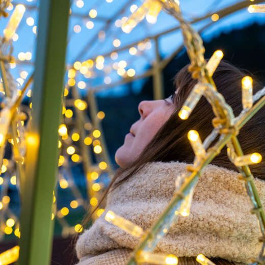Lichterzauber im Korb Frau sitzt in leuchtendem Korb im Oberstaufener Park
