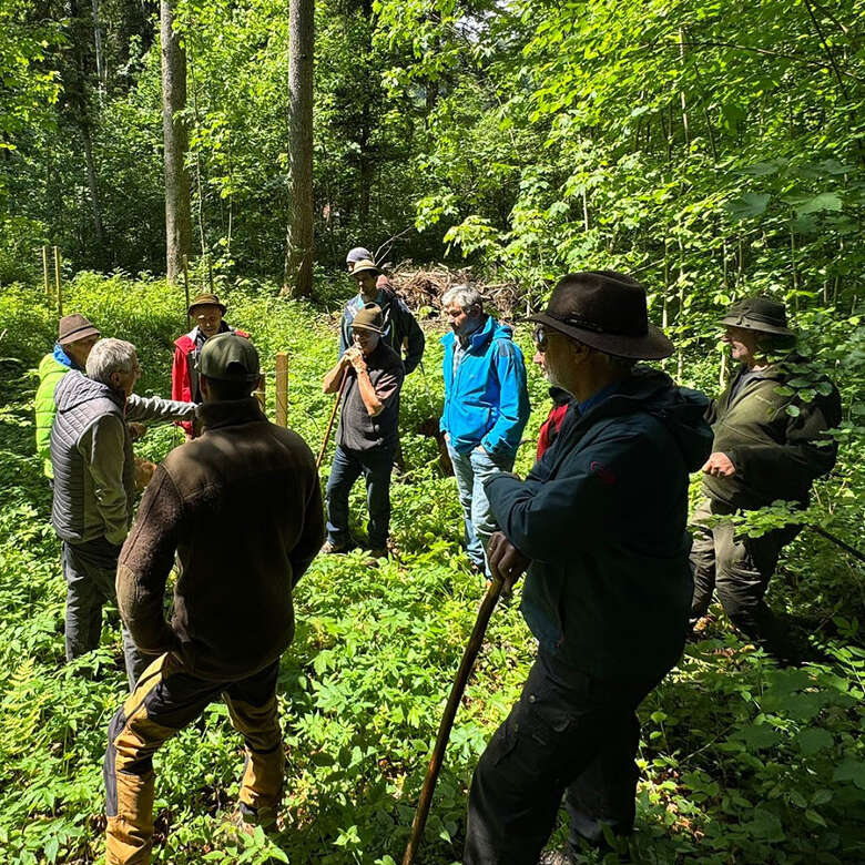 Waldführung in Oberstaufen Allgäuer Bergwald erleben