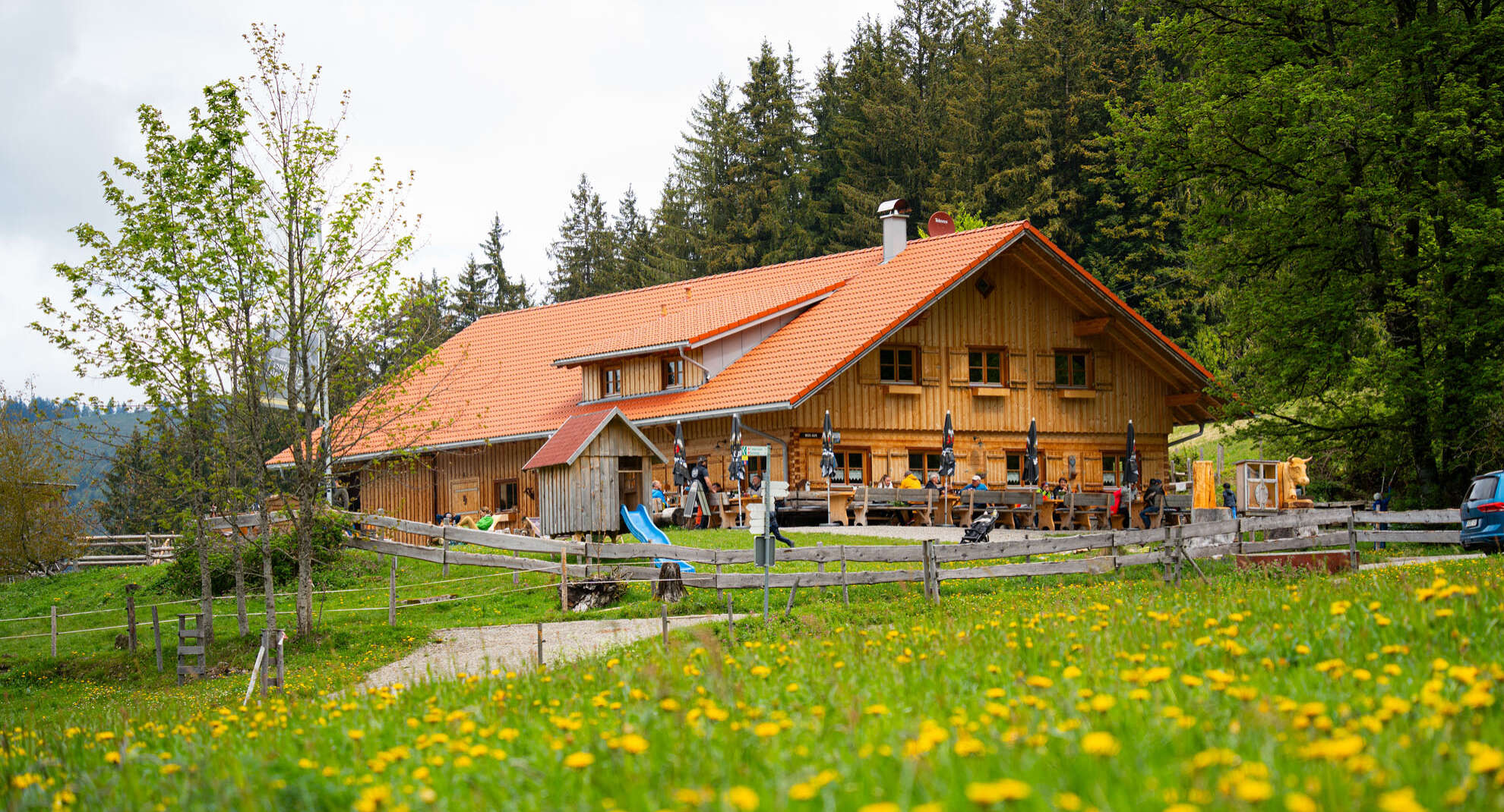 Moosalpe Thalkirchdorf Moosalpe Thalkirchdorf im Frühling