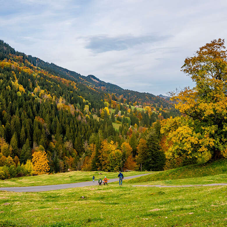 Wanderer auf dem Abstieg am Hochgratwanderweg im Herbst