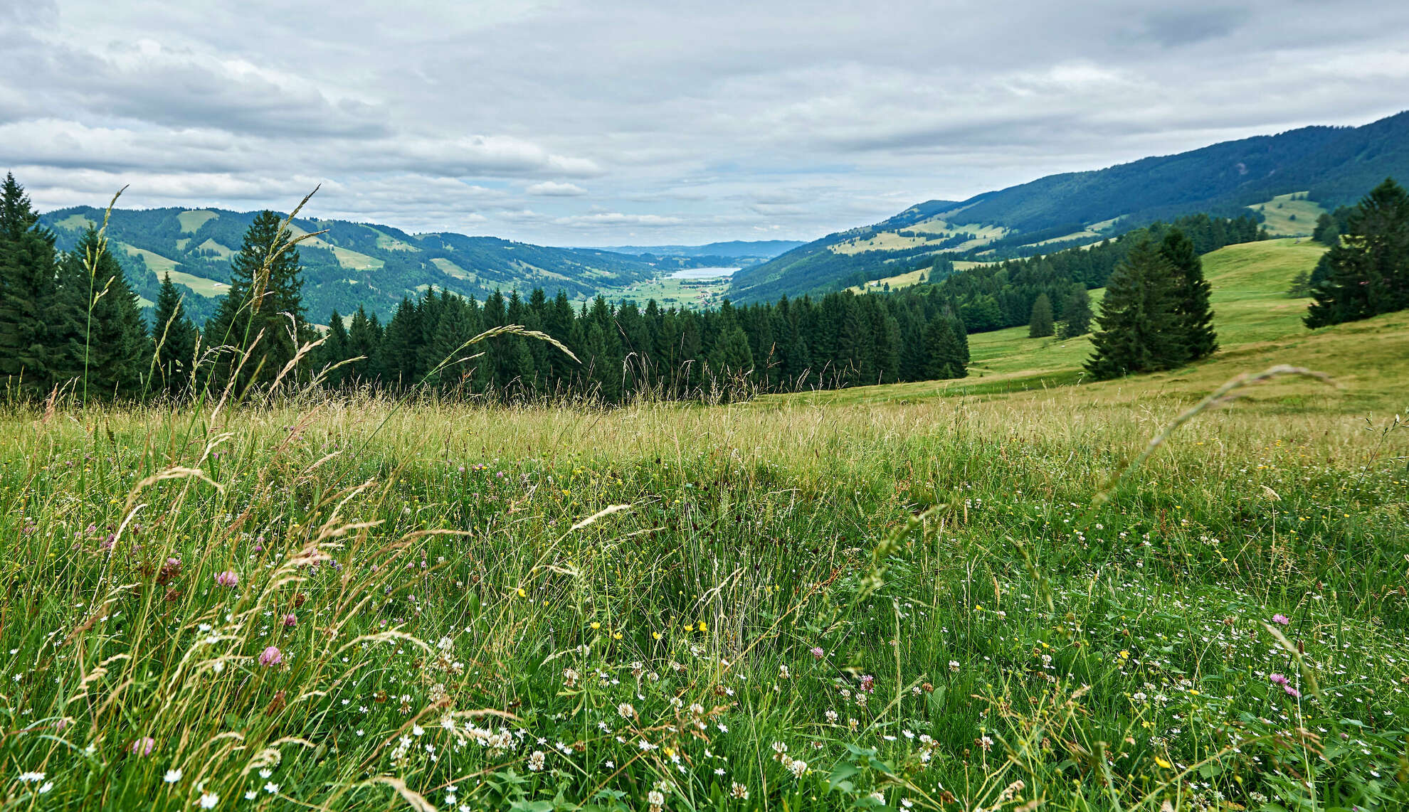Ausblick über das Konstanzer Tal bis zum Großen Alpsee im Sommer.